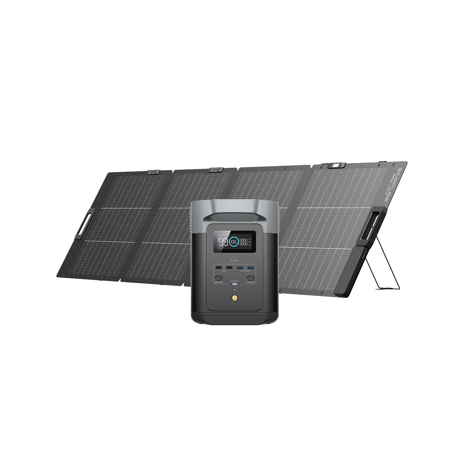 DELTA 2 + 220 W bifaziales Solarpanel