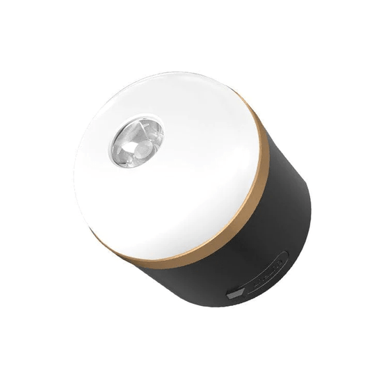 EcoFlow Campinglampe